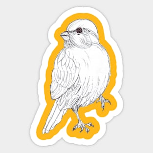 Bird Sticker